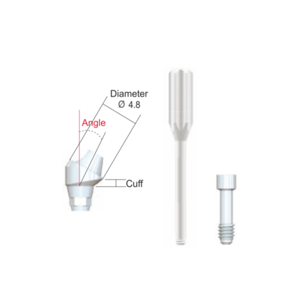 IS Multi Unit Angled Abutment